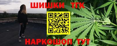 мет Кингисепп