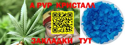 прущие грибы Комсомольск-на-Амуре