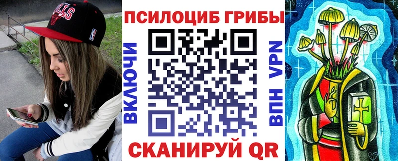 omg маркетплейс  Кушва  Галлюциногенные грибы MAGIC MUSHROOMS 